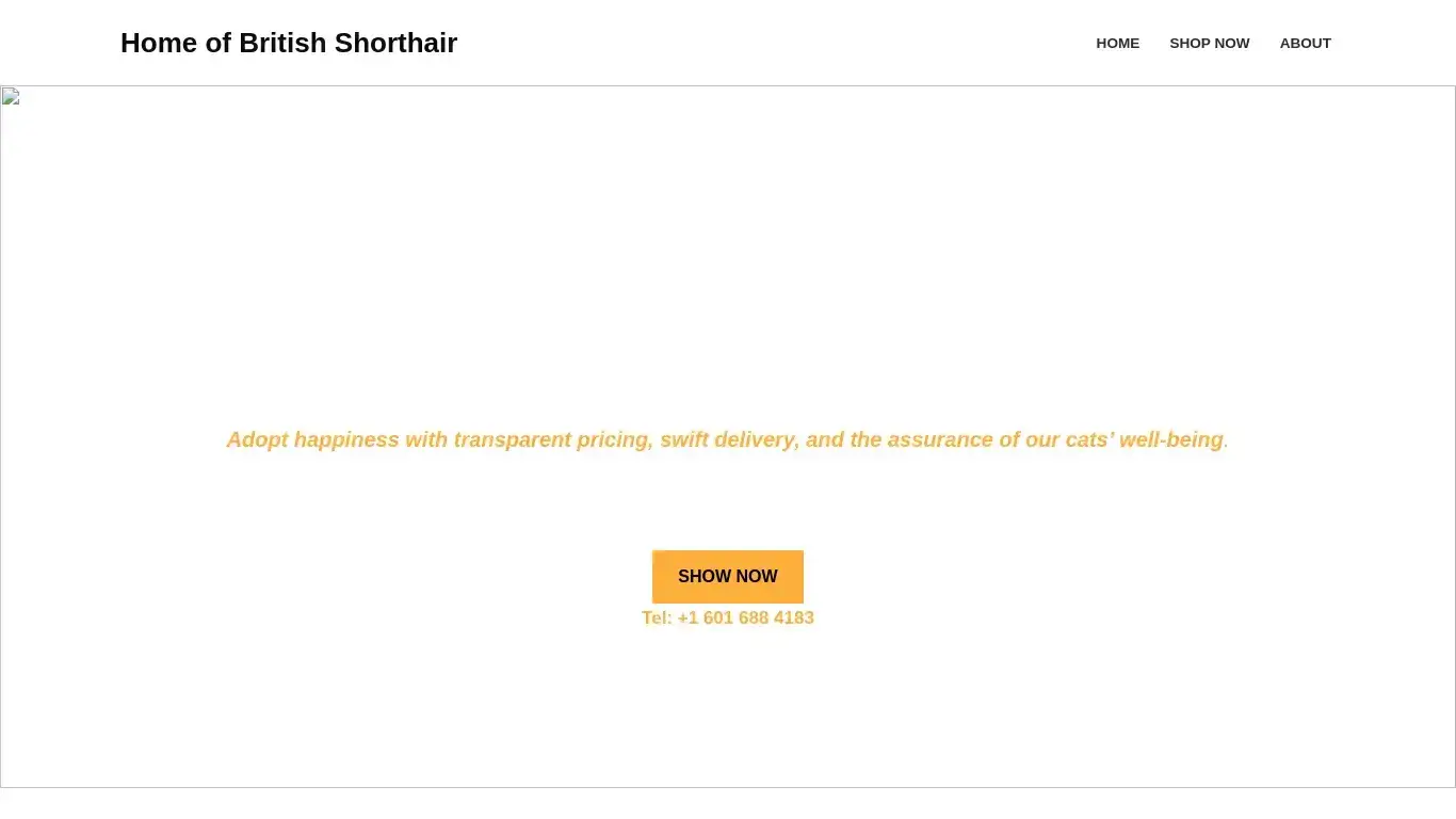 is Home of British Shorthair legit? screenshot
