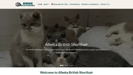 A screenshot of Britishshorthairkittenaustralia.com