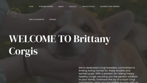 A screenshot of Brittanycorgis.com