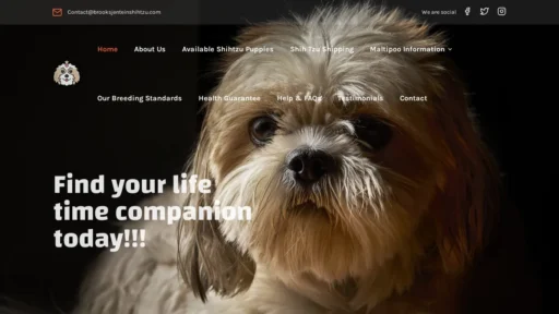 A screenshot of Brooksjenteinshihtzu.com