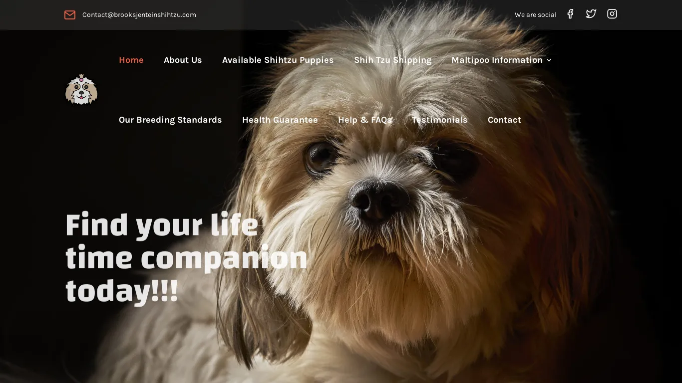 A screenshot of Brooksjenteinshihtzu.com