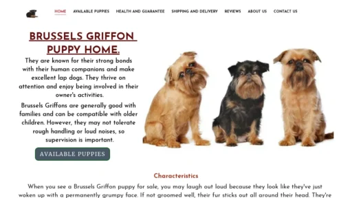 A screenshot of Brusselsgriffonpuppyhome.com