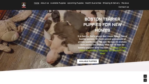 A screenshot of Buybostonterrier.org