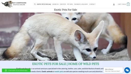 A screenshot of Buycompoundexoticsonline.com
