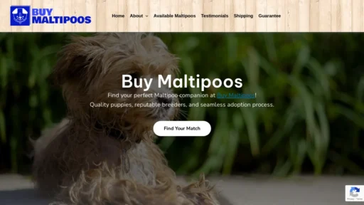 A screenshot of Buymaltipoos.com