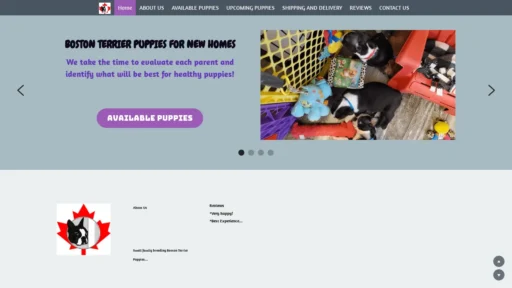 A screenshot of Canadabostonterrier4sale.com