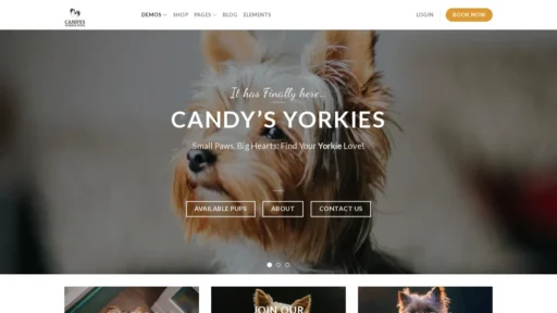 A screenshot of Candysyorkiepuppies.com