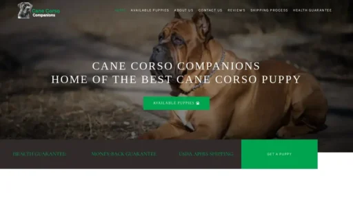 A screenshot of Canecorsocompanions.com