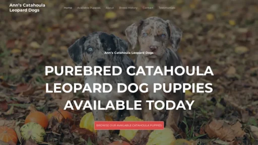 A screenshot of Catahouladogsforsale.com