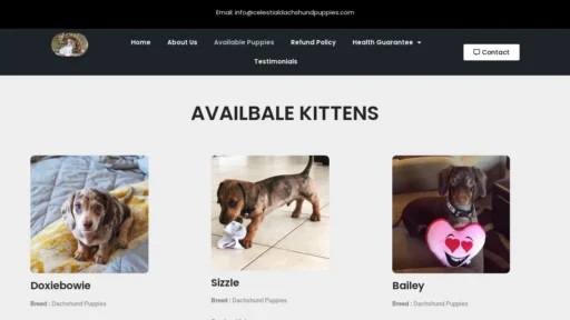 A screenshot of Celestialdachshundpuppies.com