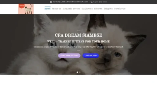 A screenshot of Cfadreamsiamesekitten.com