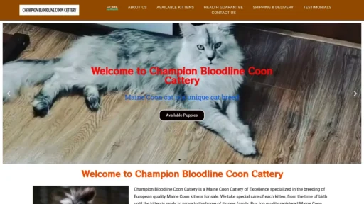 A screenshot of Championbloodlinecooncattery.com