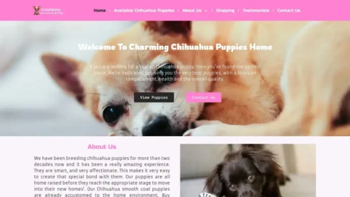 A screenshot of Charmingchihuahuapuppies.com