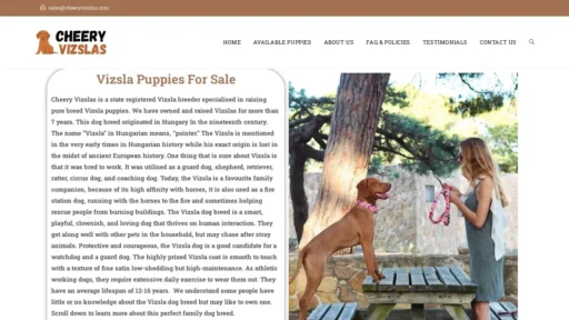 A screenshot of Cheeryvizslas.com
