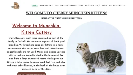 A screenshot of Cherrymunchkins.com