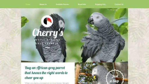 A screenshot of Cherryparrots.com