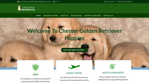 A screenshot of Chestergoldenretrievers.com