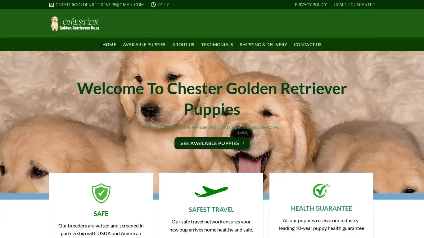 is CHESTER GOLDEN RETRIEVERS – CHESTER GOLDEN RETRIEVERS legit? screenshot