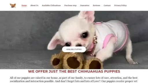 A screenshot of Chihuahuahualovers.com