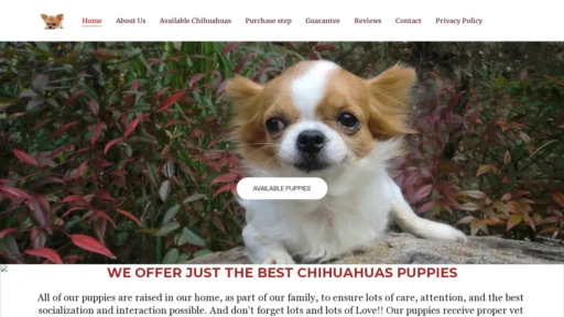 A screenshot of Chihuahuasgalore.com