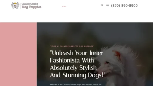 A screenshot of Chinesecresteddogpuppy.com