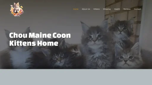 A screenshot of Choumainecoon.com