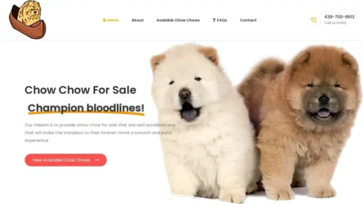 A screenshot of Chowchowforsale.com