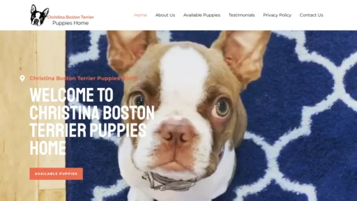 A screenshot of Christinabostonterrierpuppieshome.com