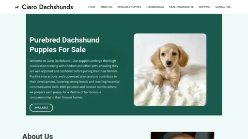 A screenshot of Ciarodachshunds.com