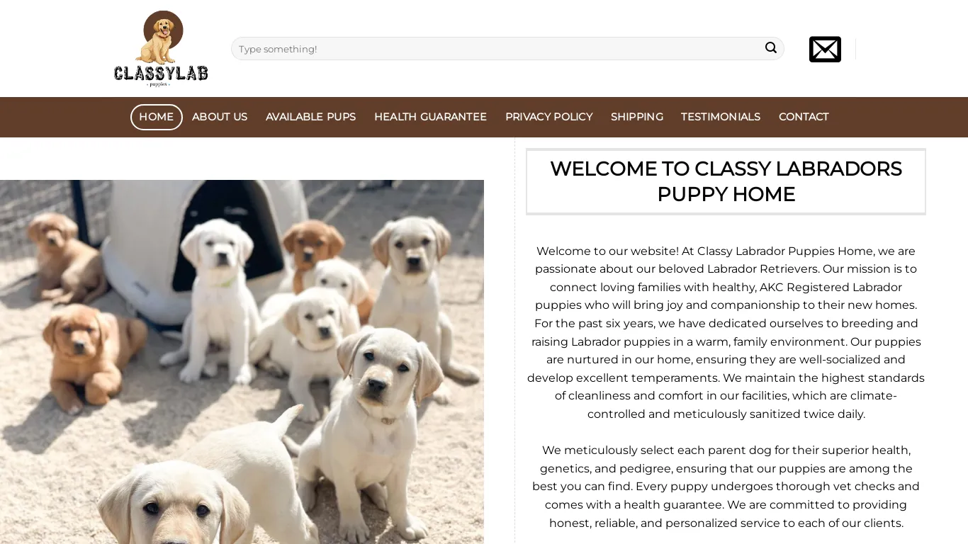 A screenshot of Classylabpuppies.com