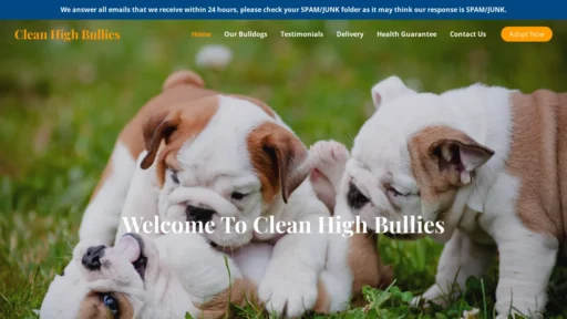 A screenshot of Cleanhighbullies.com