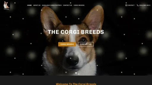 A screenshot of Corgibreeds.com