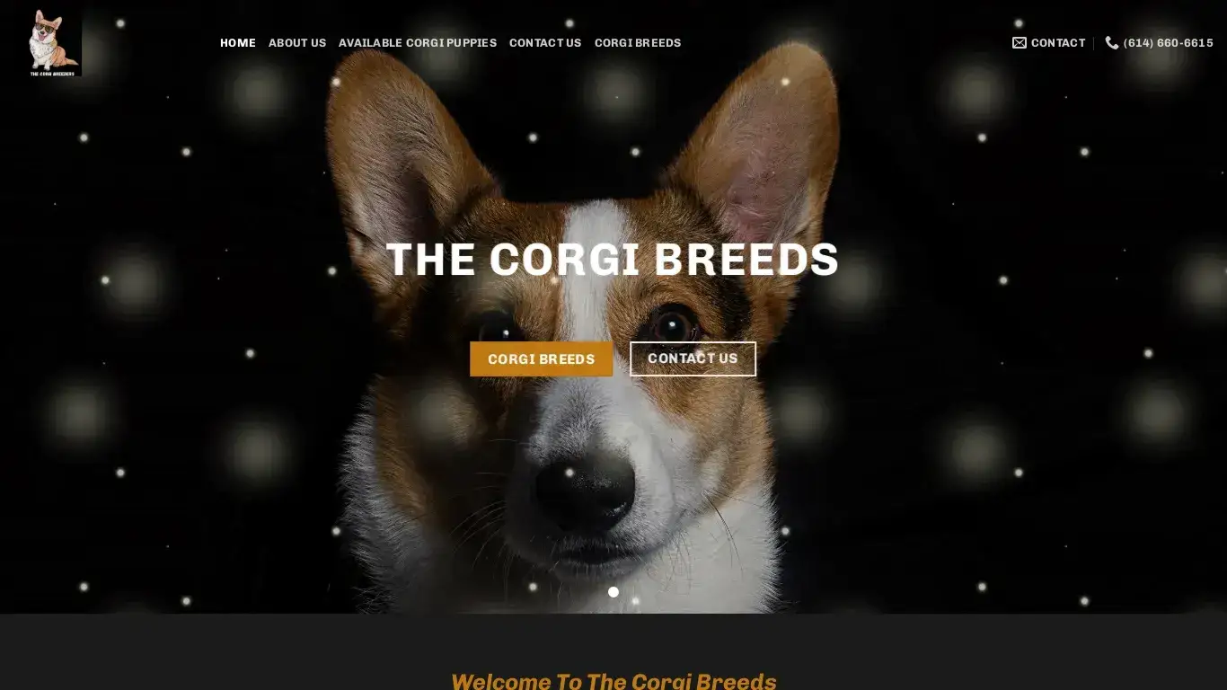 is Corgi Puppies for sale legit? screenshot