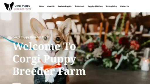 A screenshot of Corgipuppybreederfarm.com