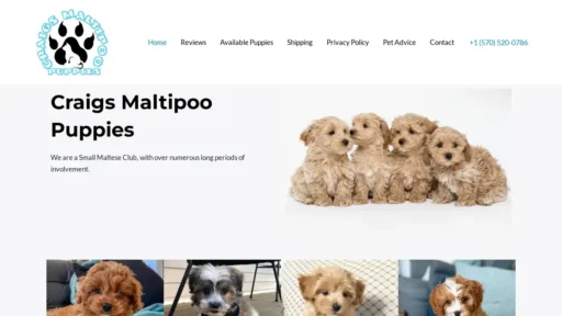 A screenshot of Craigsmaltipoopuppies.com