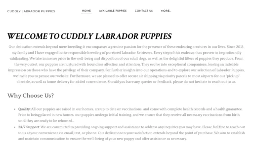A screenshot of Cuddlylabradorpuppies.com