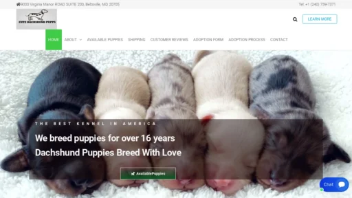 A screenshot of Cutedachshundpupps.com