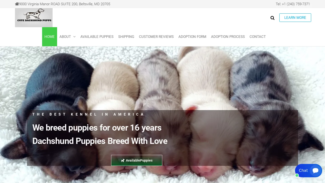 is Home - CUTE DACHSHUND PUPPIES legit? screenshot