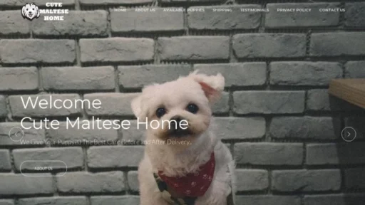 A screenshot of Cutemaltesehome.com