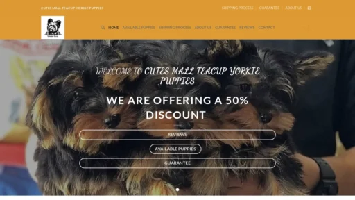 A screenshot of Cutesmallteacupyorkiepuppies.com