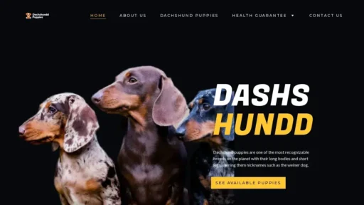 A screenshot of Dachshunddpuppies.com