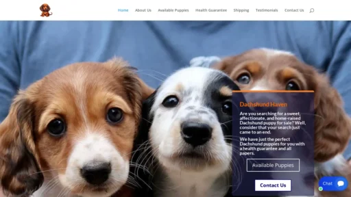 A screenshot of Dachshundhavenaus.com
