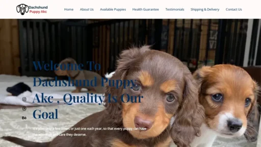 A screenshot of Dachshundpuppyakc.com