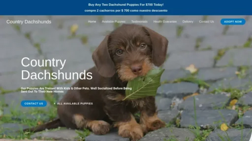 A screenshot of Dachshundscountry.com