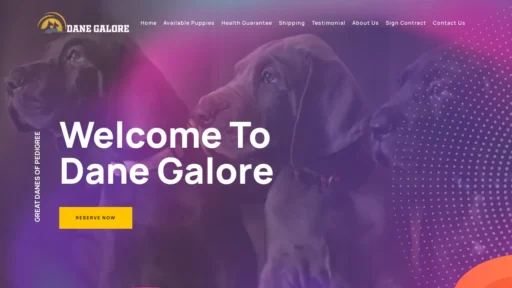 A screenshot of Danegalore.com