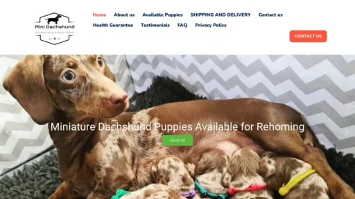 A screenshot of Dashshundminiaturerehoming.com
