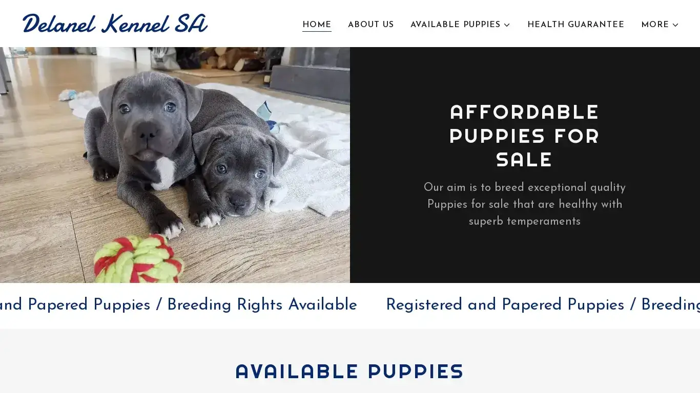 is Delanel Puppy Kennel legit? screenshot