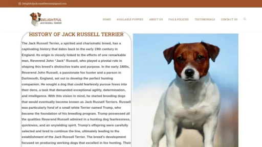 A screenshot of Delightfuljackrussellterriers.com