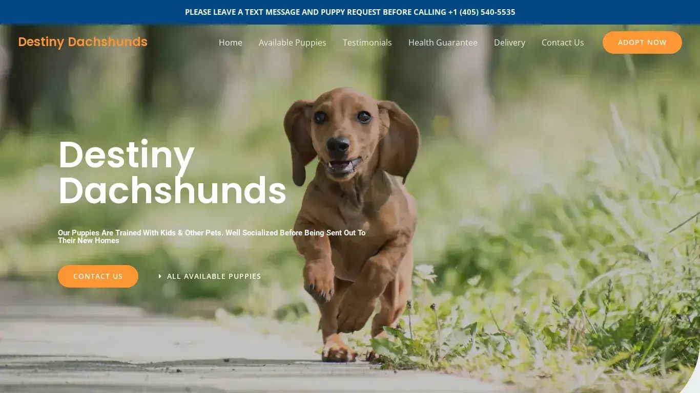 is Destiny Dachshunds – Purebred Dachshund For Sale legit? screenshot