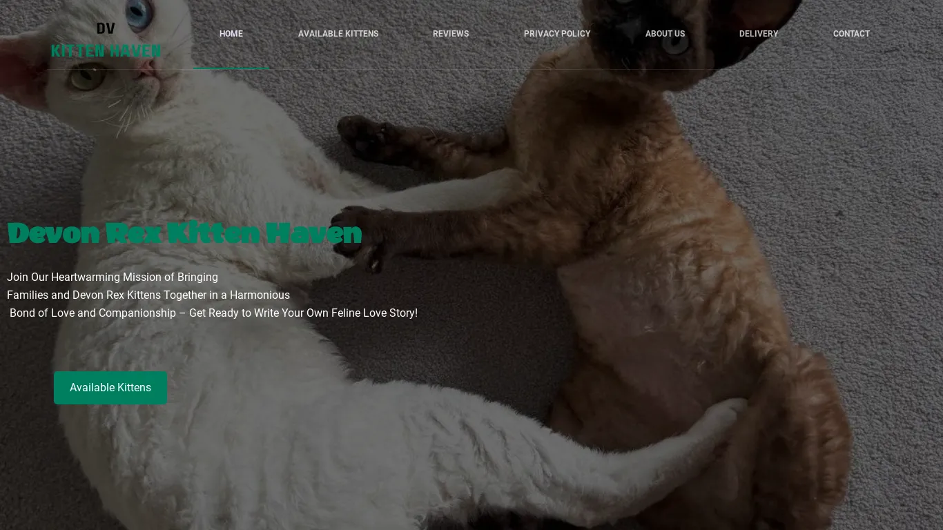 is Devon Rex Kitten Haven – Devon Rex Kitten Haven legit? screenshot